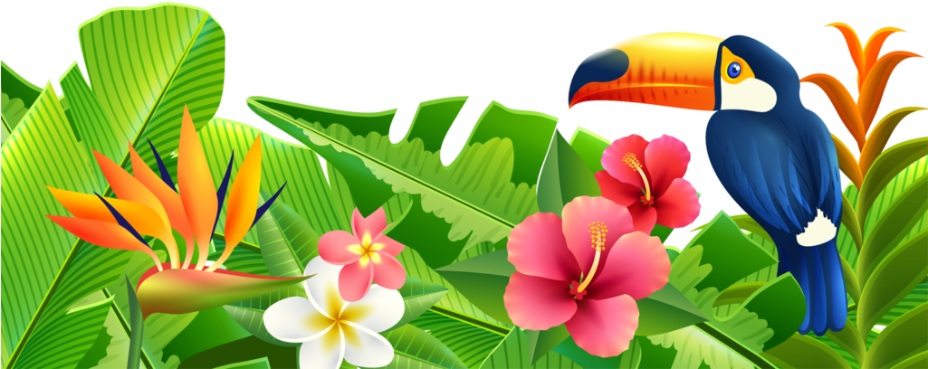 Tropisk paradis sommerscene Bakgrunner