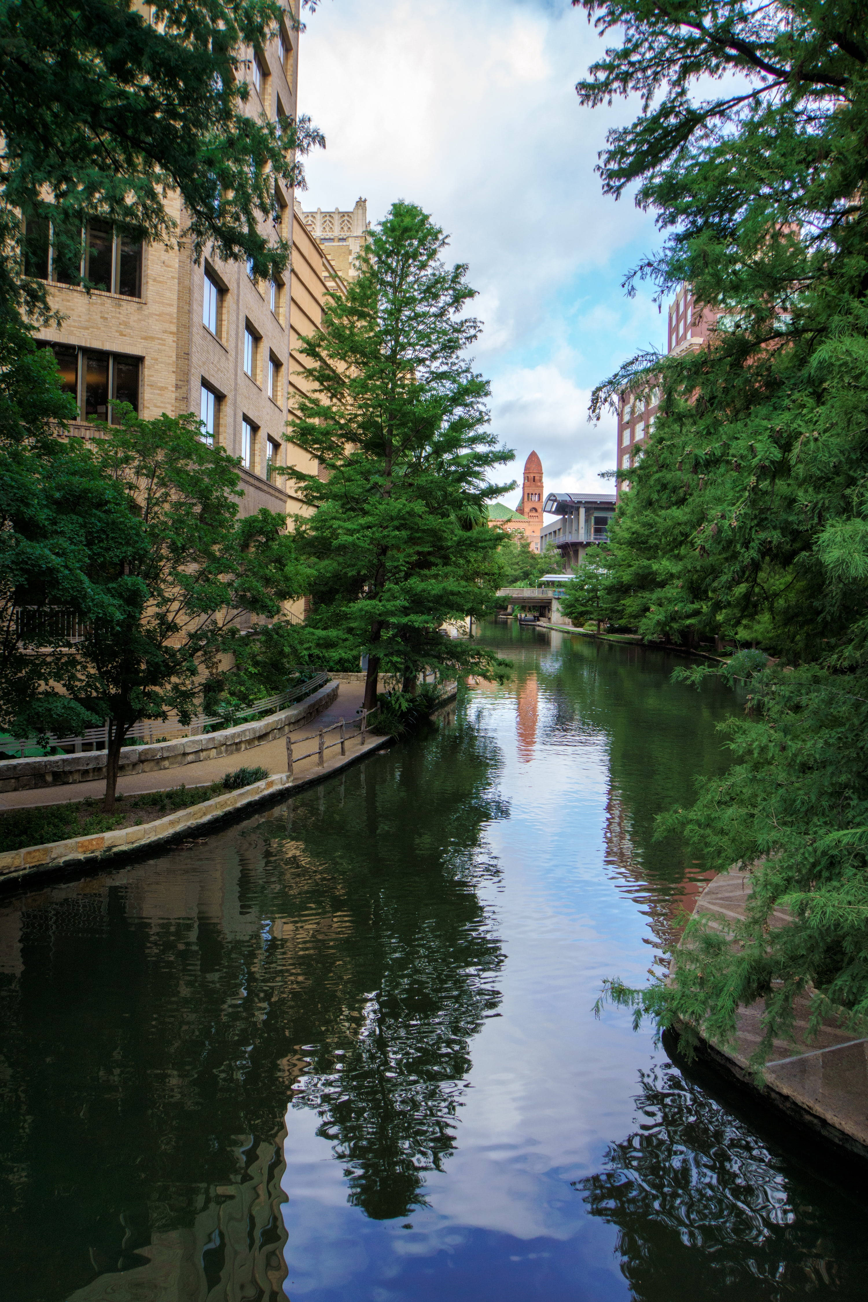 Trær Langs San Antonio River Walk Bakgrunner