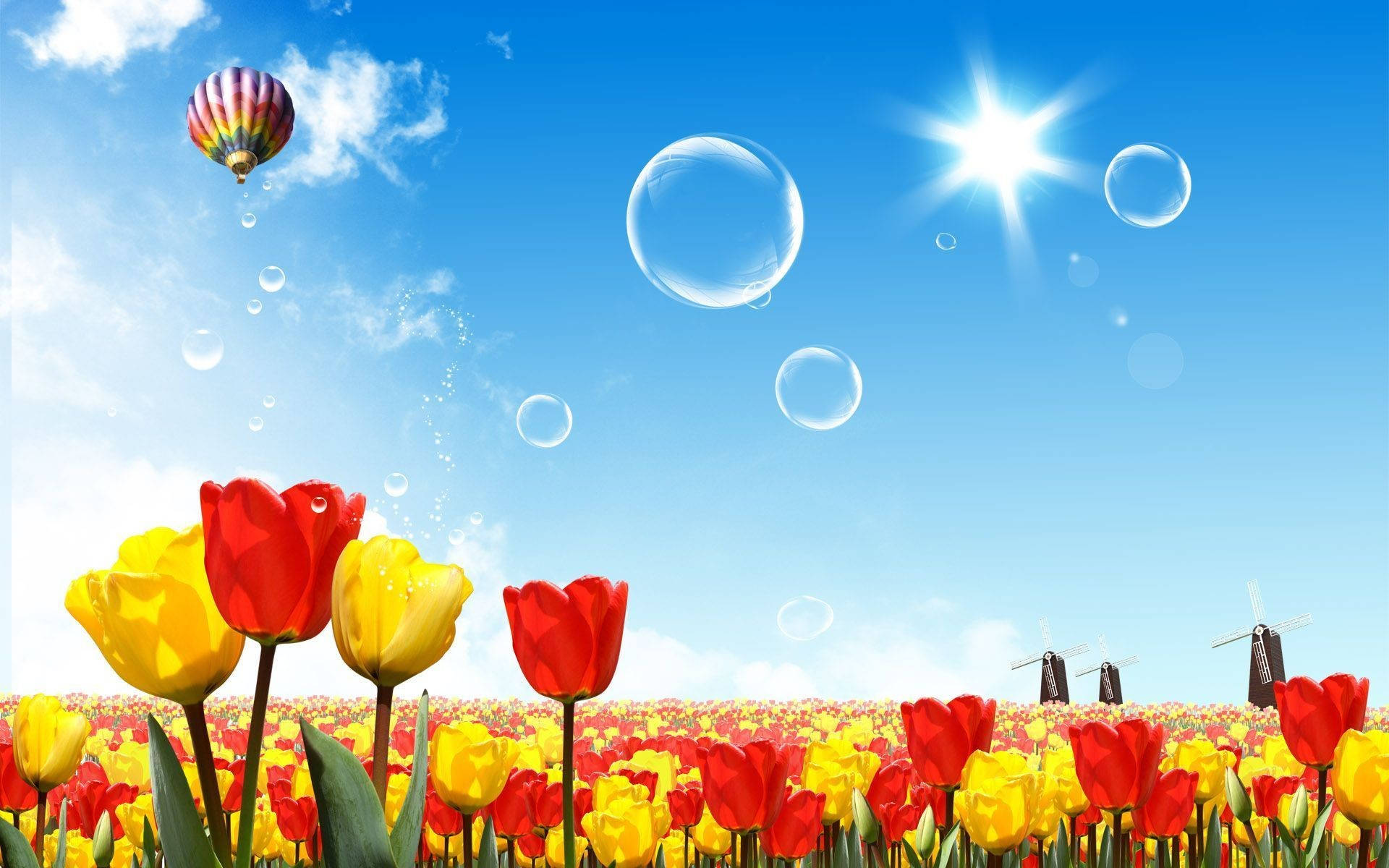 Tulips Art Sommer Skrivebord Bakgrunner