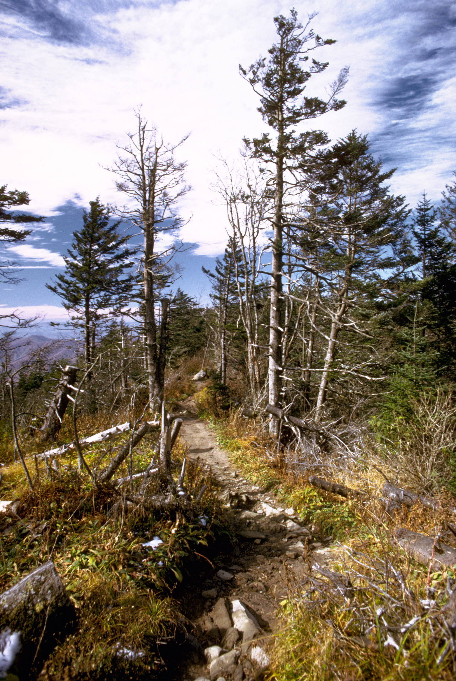 Tursti i Smoky Mountains Bakgrunner