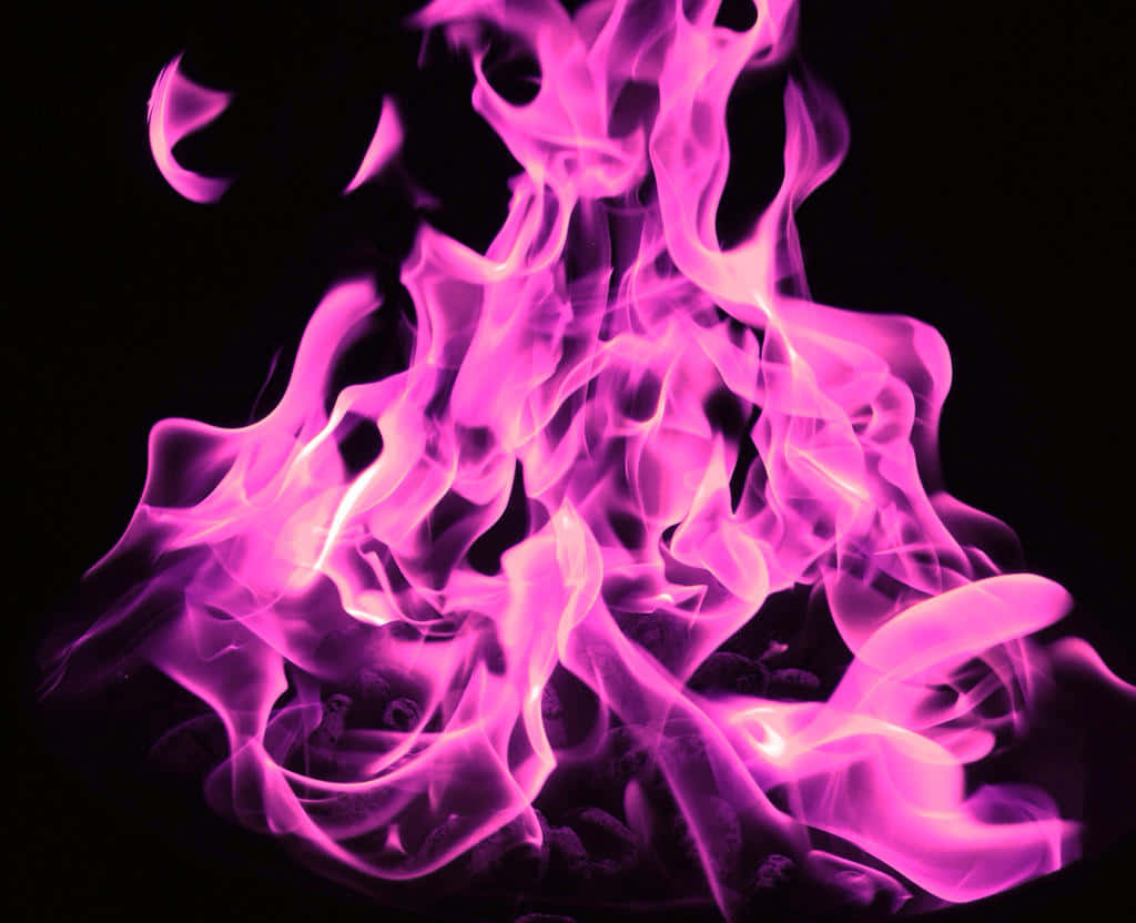 Tykke rosa flammer Bakgrunner