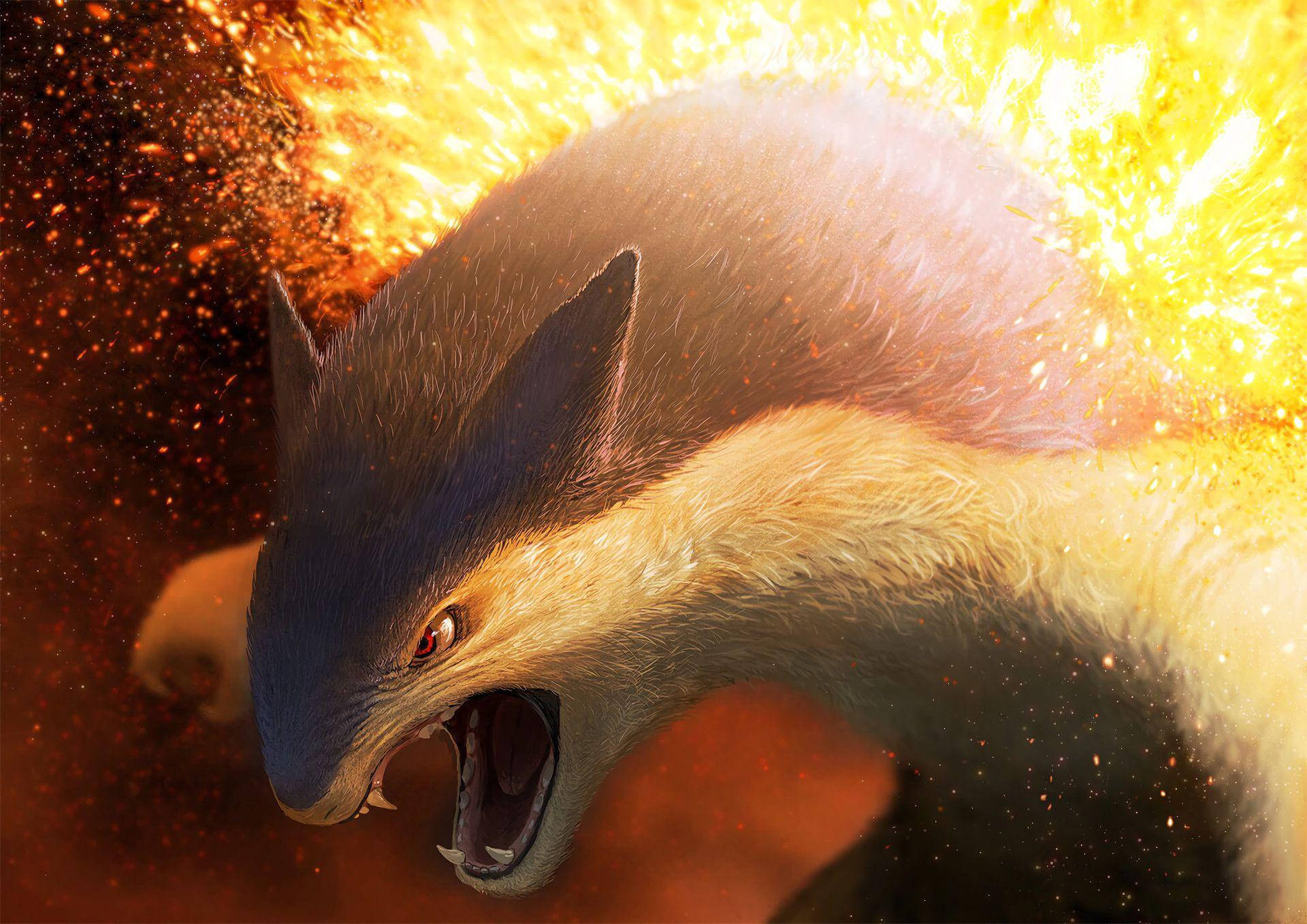 Typhlosion nærbilde HD Bakgrunner