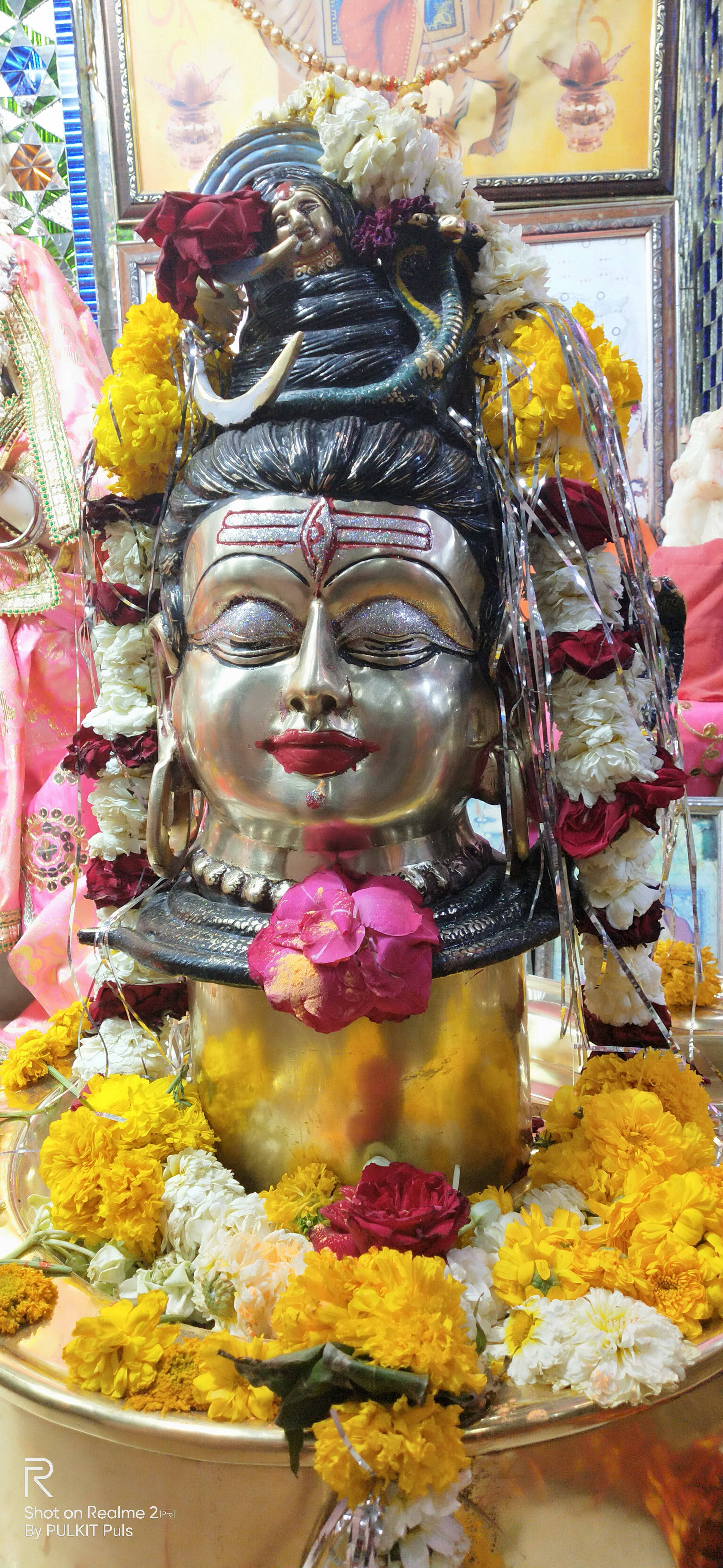 Ujjain Mahakal Gule Blomster Bakgrunner