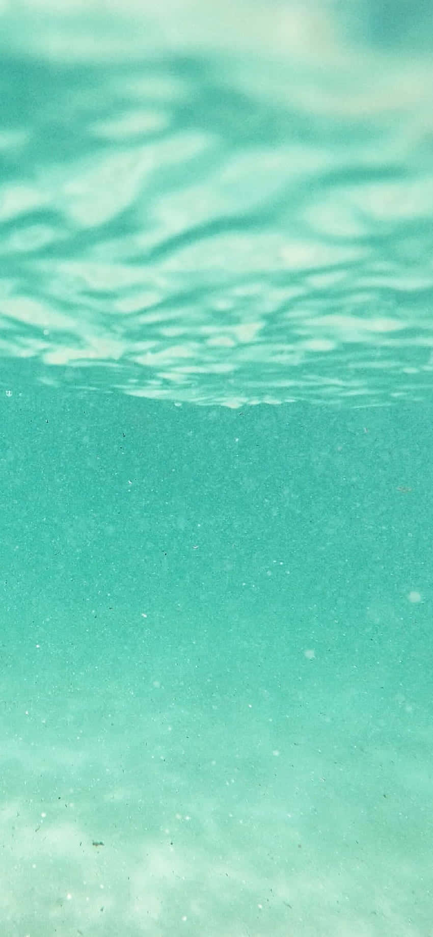 undervannsutsikt over havet Bakgrunner