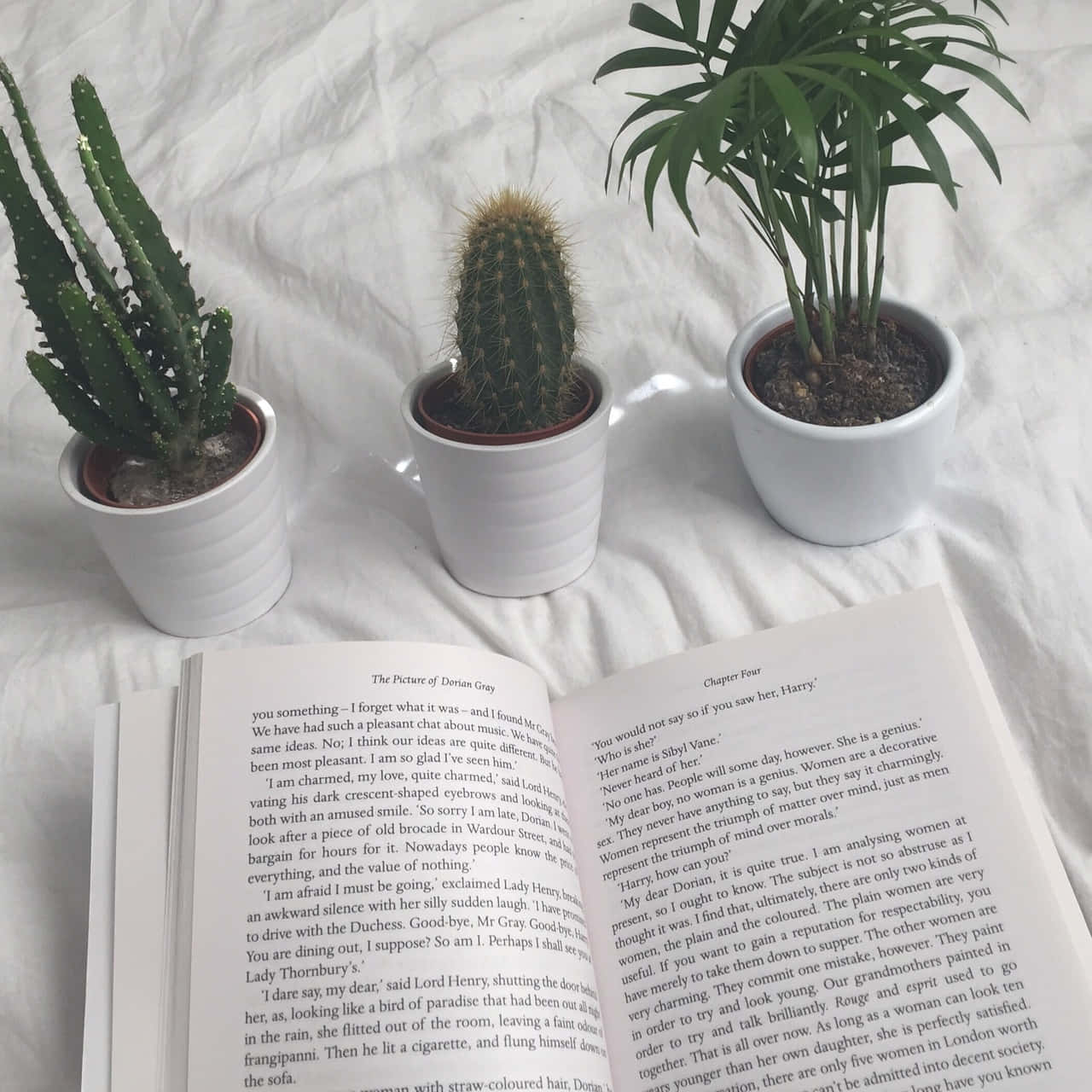 Utforsk bokverdenen! 📖 Bakgrunner