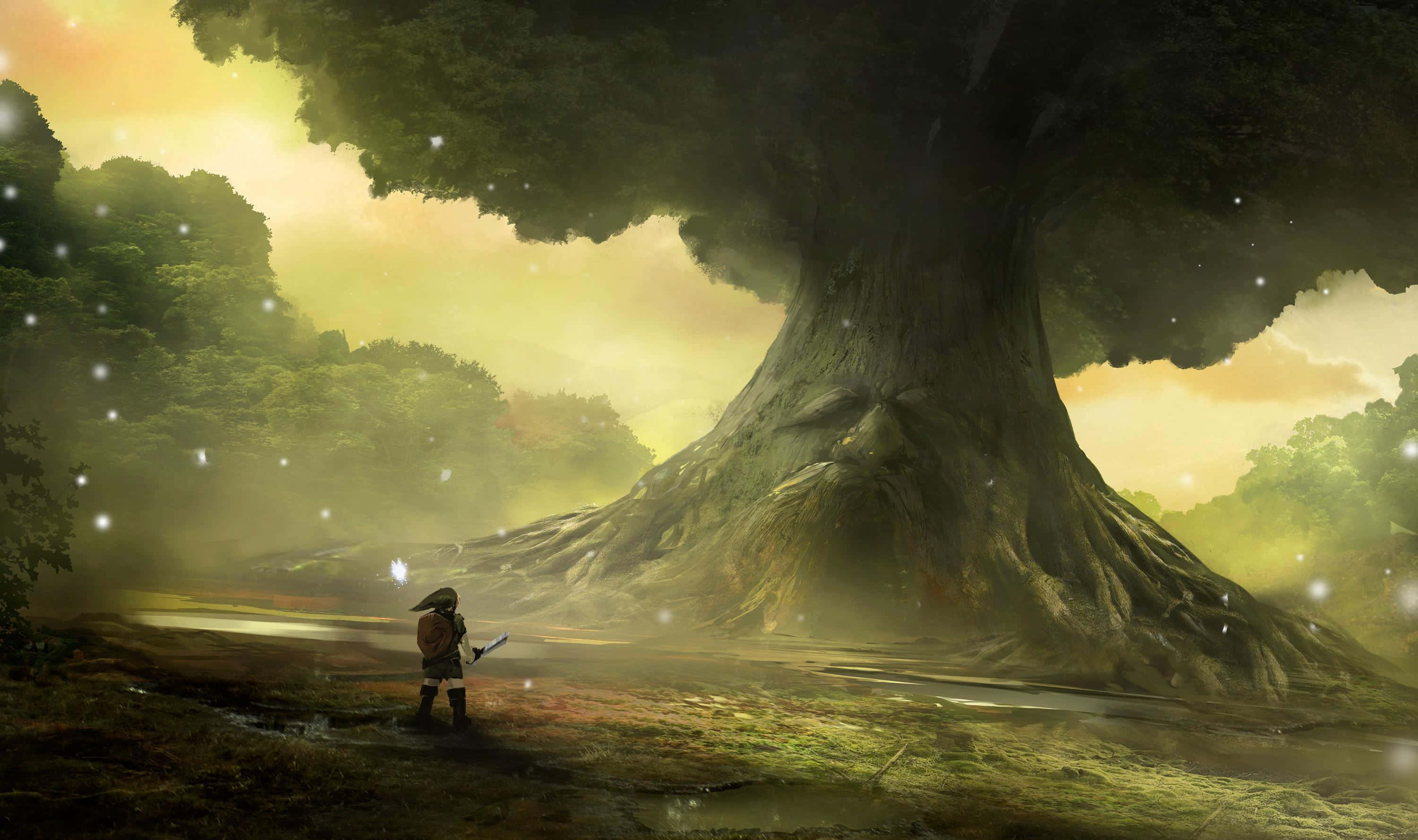 Utforsk Hyrule-verdenen i den anerkjente Legend Of Zelda-serien. Bakgrunner