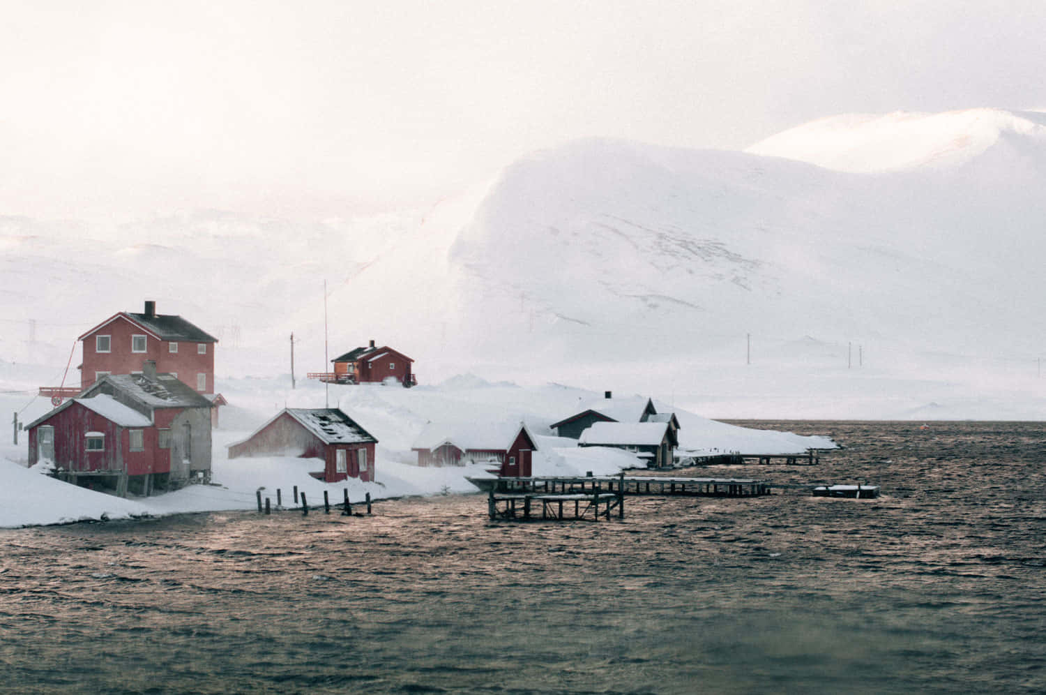 Utsikt over trær dekket av nysnø Bakgrunner