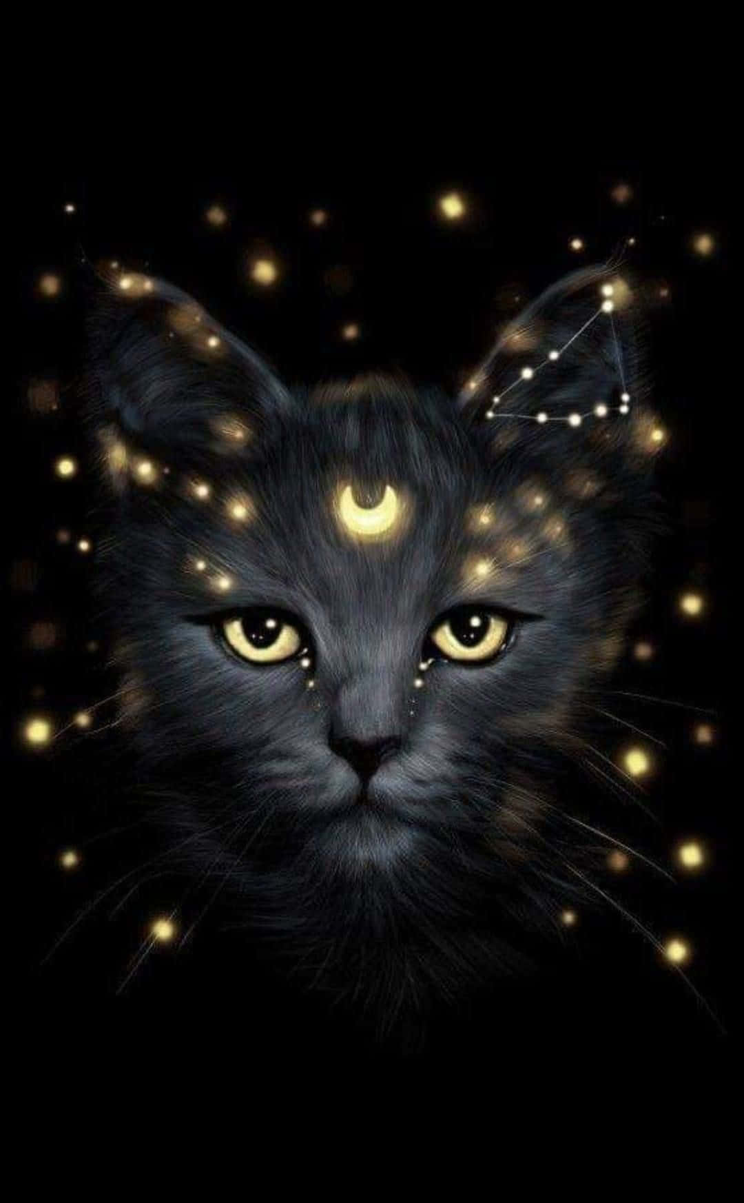 Våg deg ut i universet med Galaxy Cat Bakgrunner
