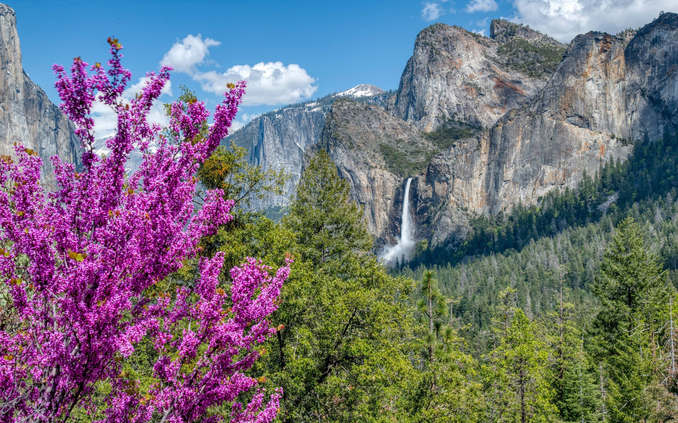 Vakker Foss Yosemite Bakgrunner