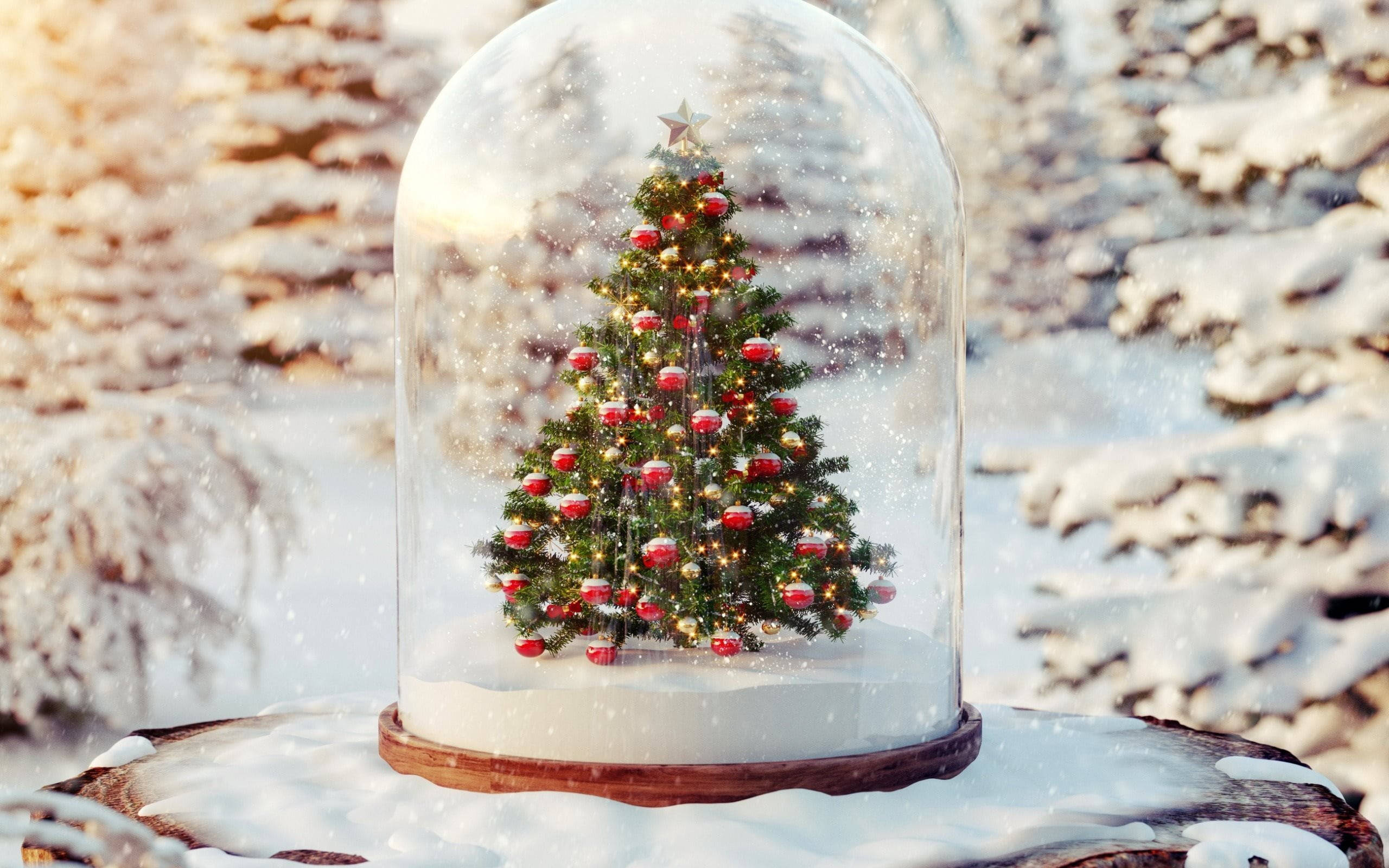 Vakker julekule med snø Bakgrunner