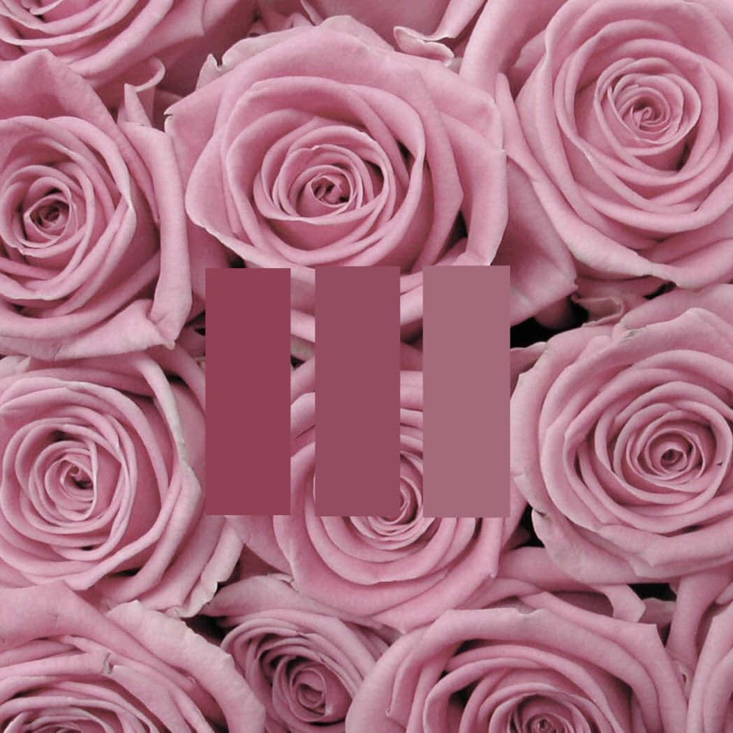Vakker rosa estetisk bilde av en fluffy rosa sky mot en blå himmel. Bakgrunner