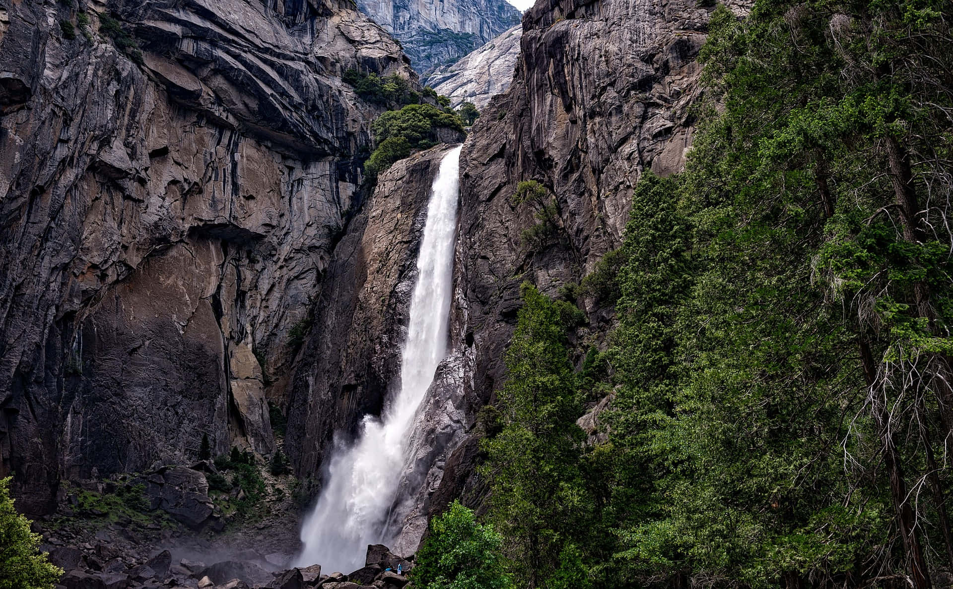 Vakre Yosemite Falls i skogen bilde Bakgrunner