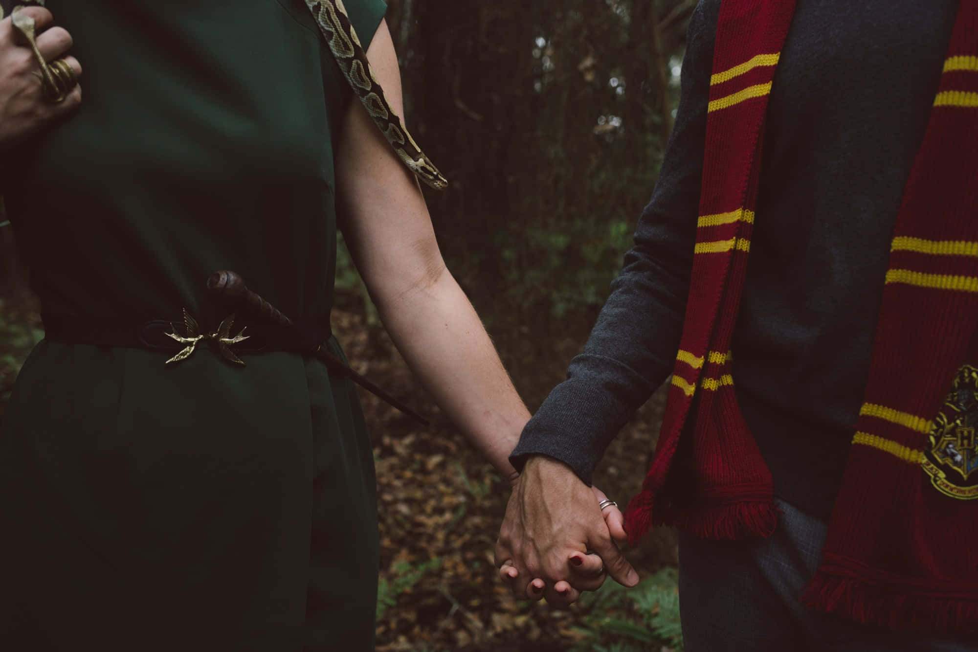 Velkommen til Slytherin-estetikk, omfavn din indre slange! Bakgrunner