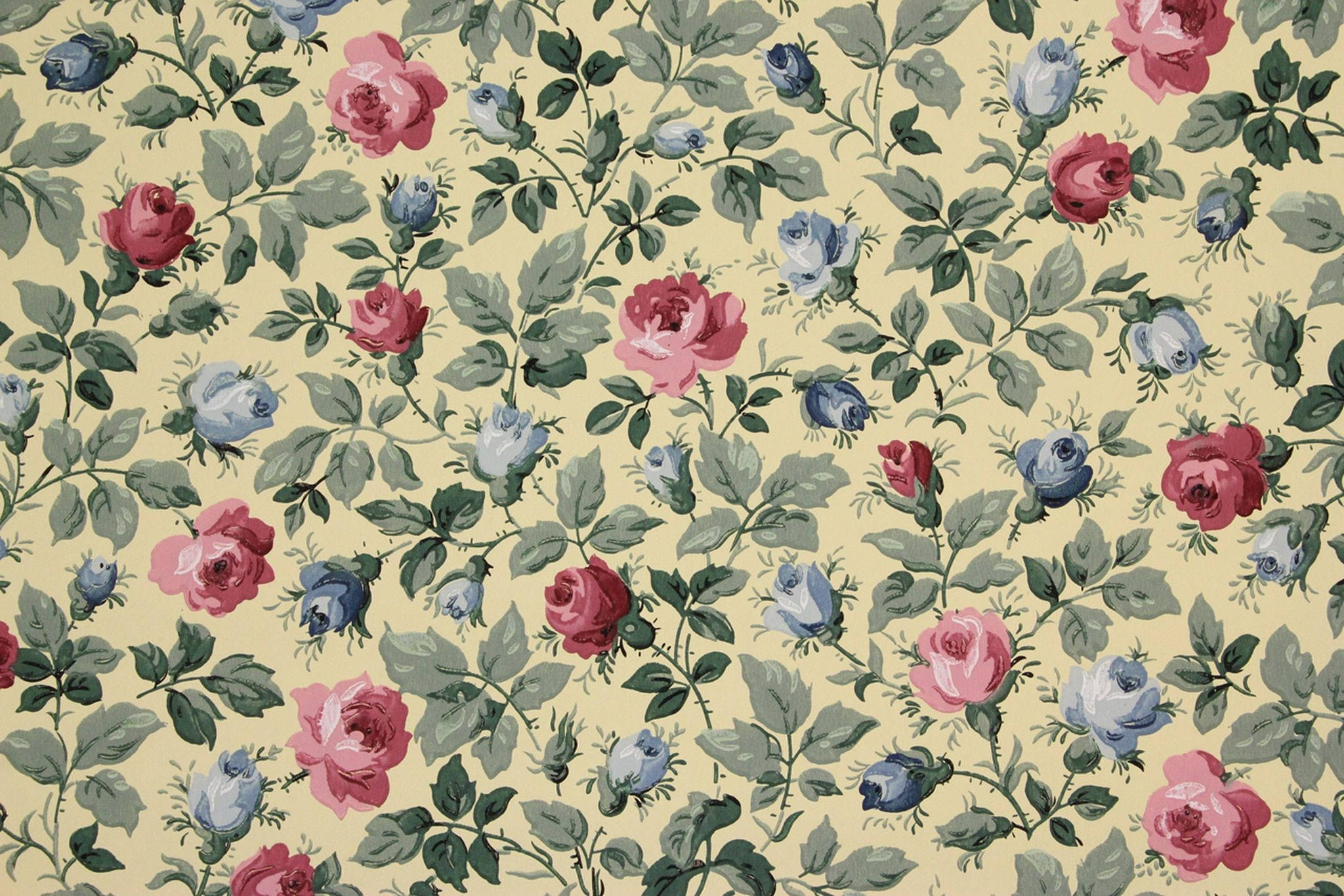 Vintage blå rose-estetikk Bakgrunner