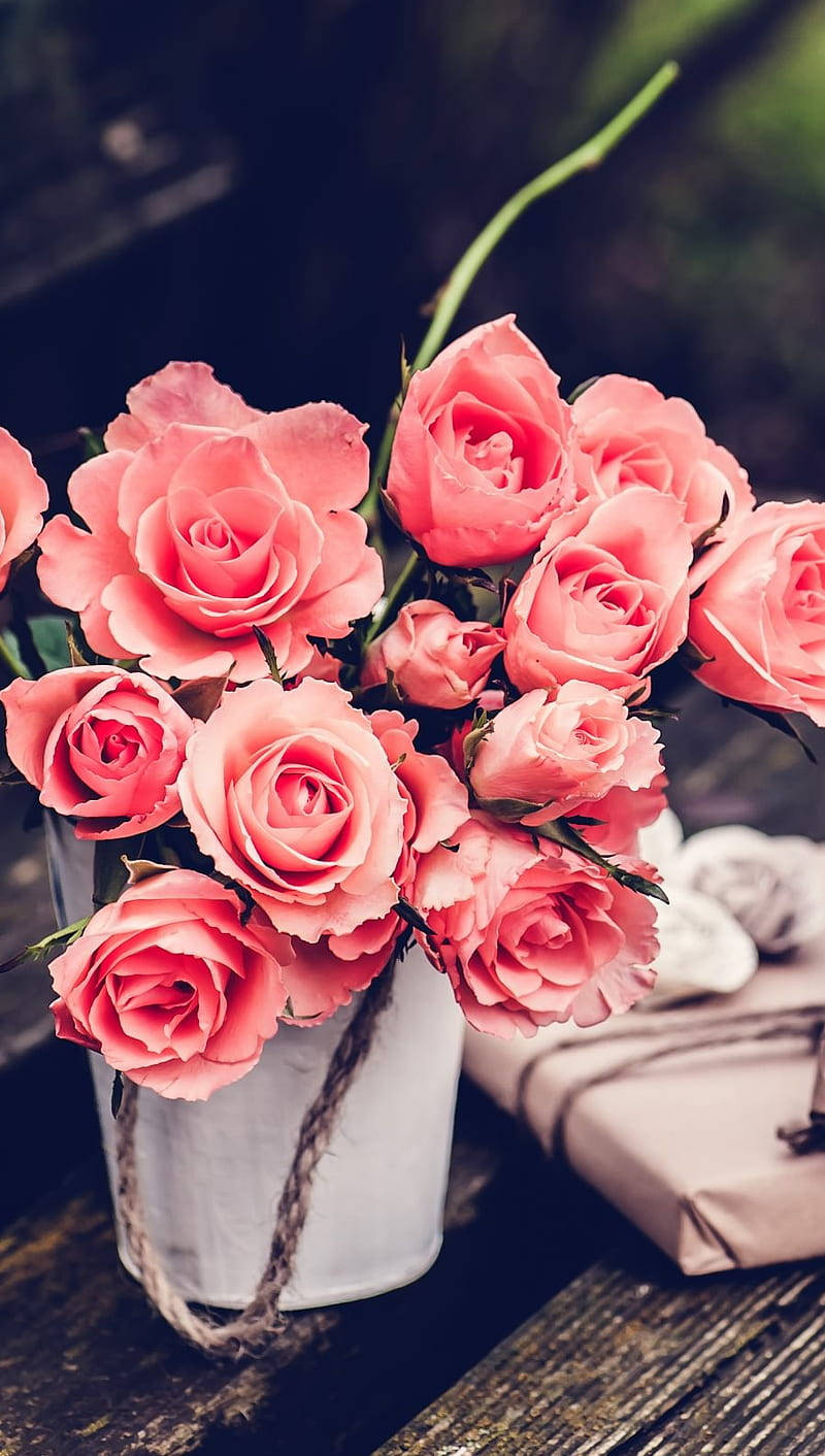 Vintage blomsterestetikk rosa roser Bakgrunner