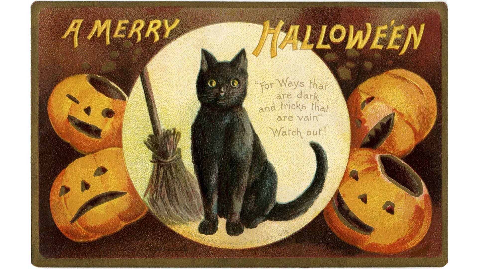 Vintage Halloween Heksekatt Bakgrunner