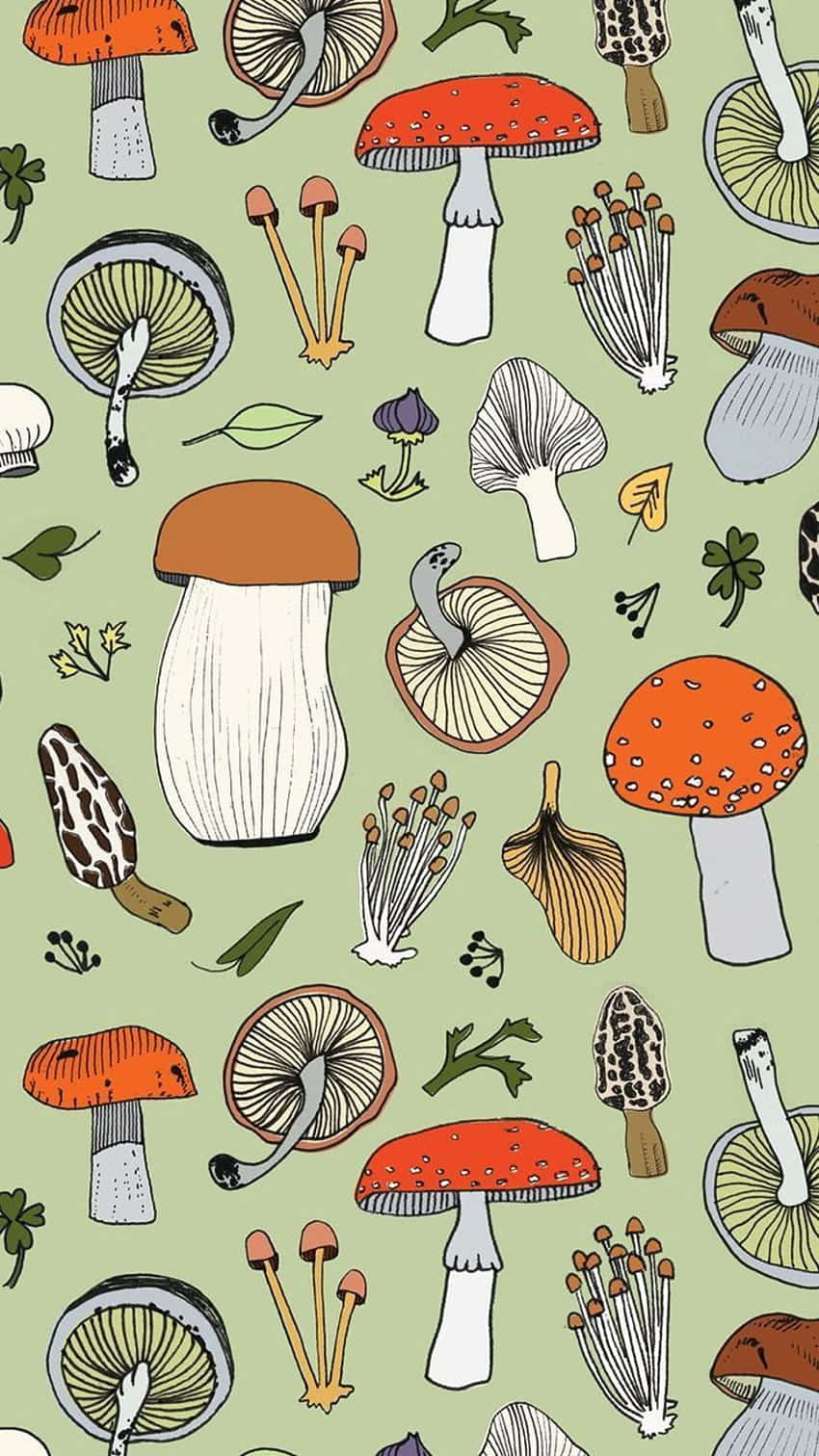 Vintage Søt Sopp Flora Blanding Salviegrønn Bakgrunner