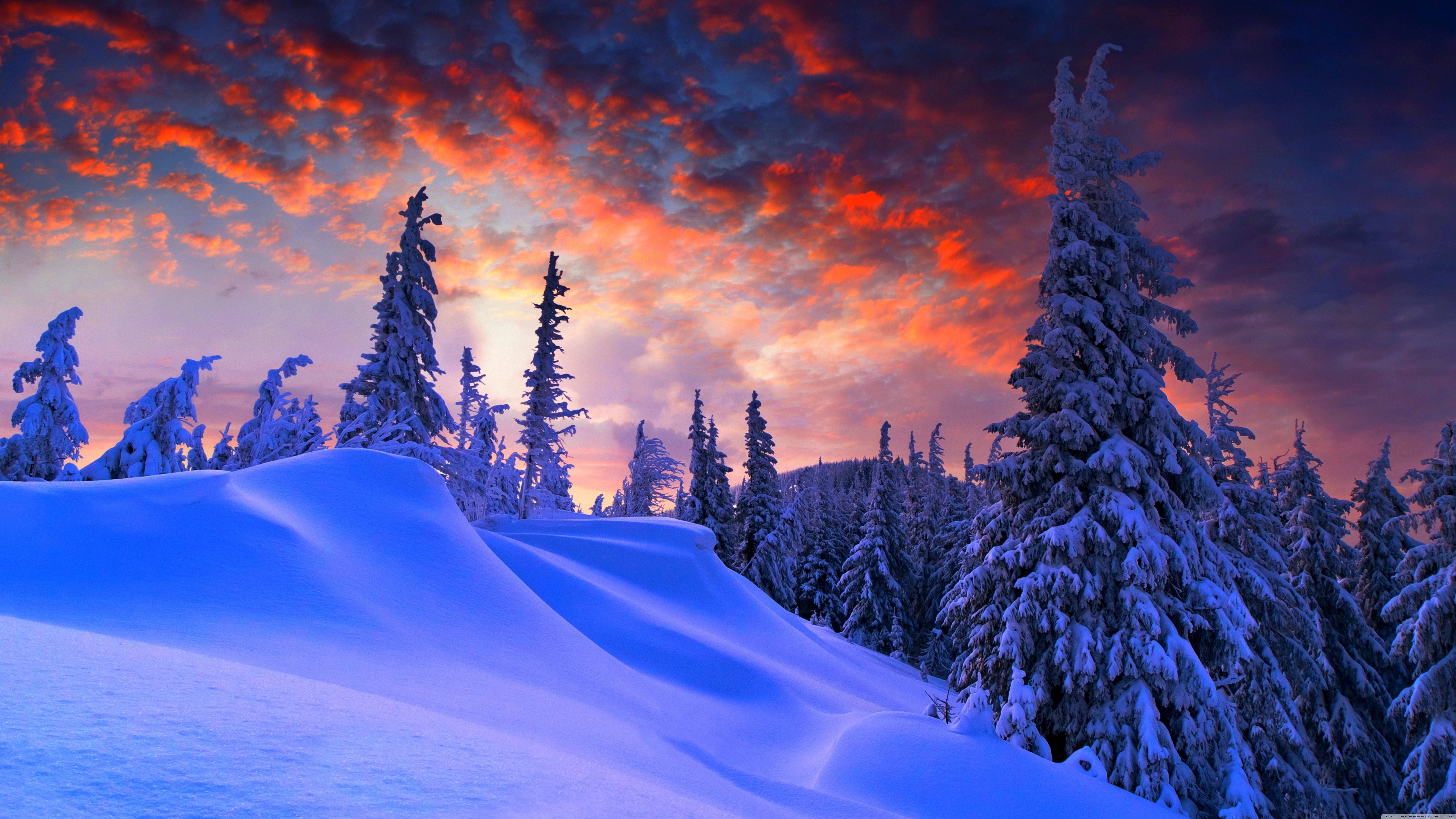 Vinter solnedgang utsikt Bakgrunner