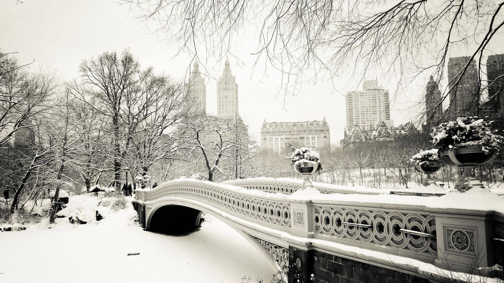 Vinterestetikk Central Park Bakgrunner