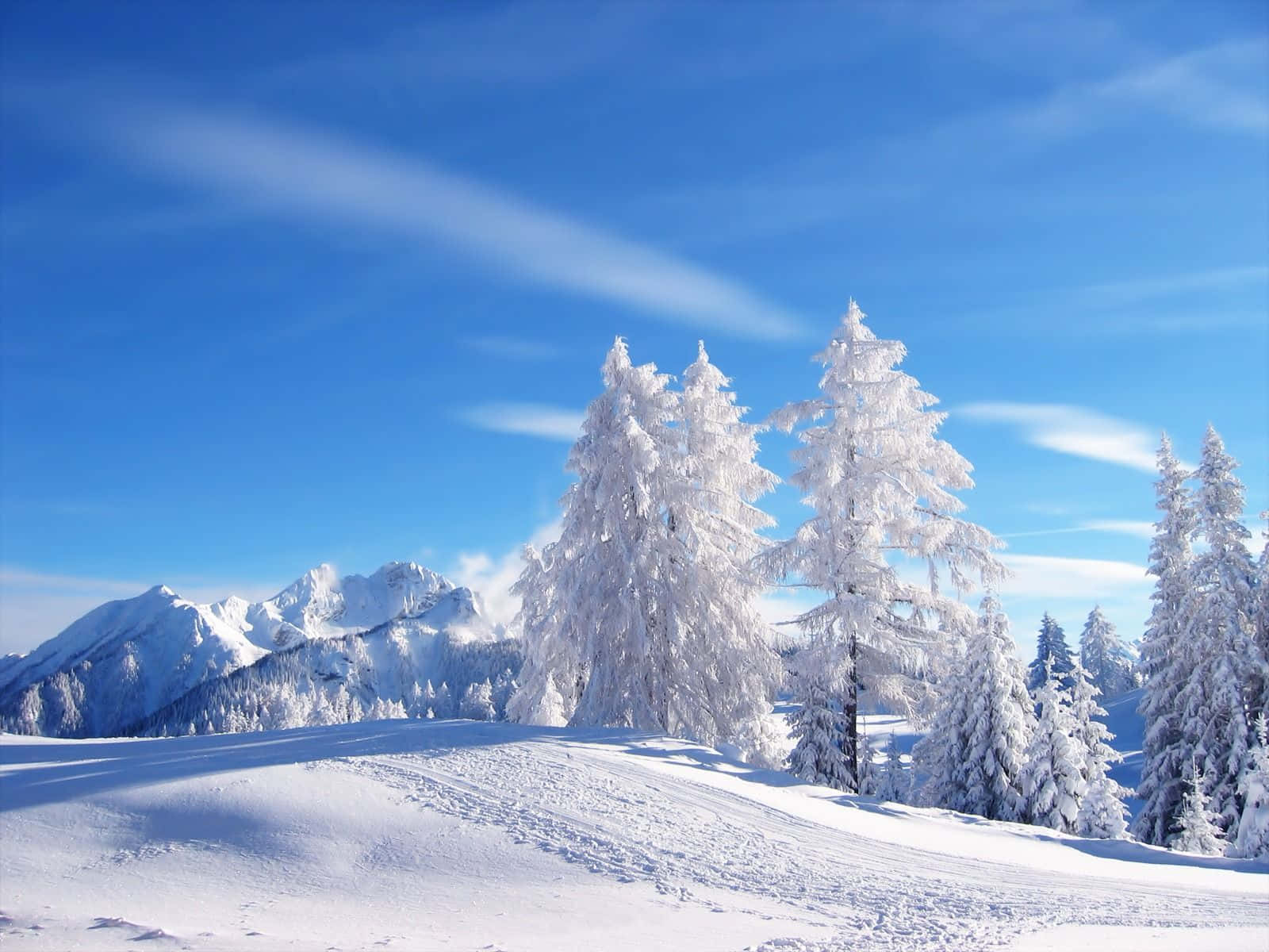 Vinterlandskap med snø Russland Bakgrunner