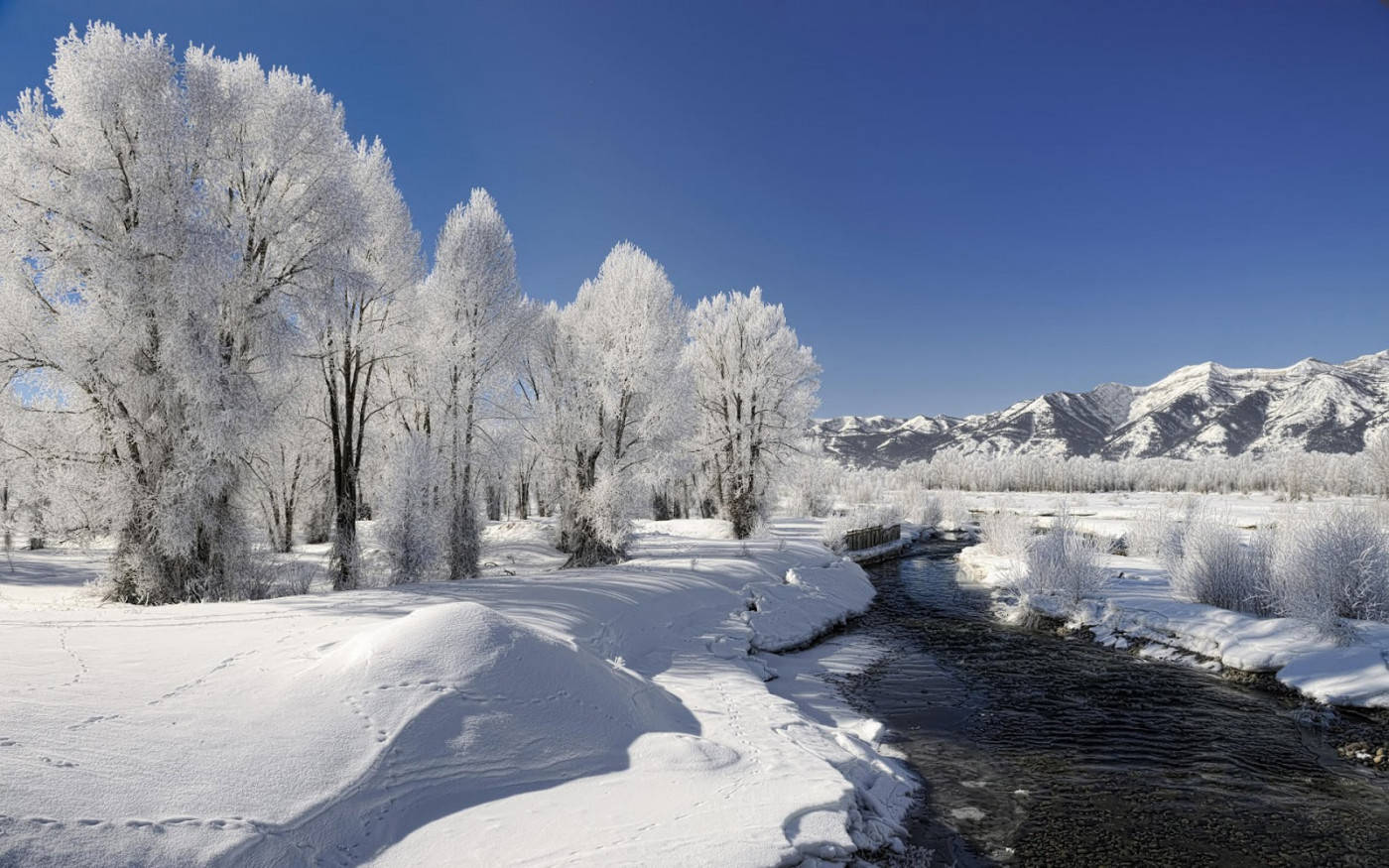 Vinterscene med frossen natur Bakgrunner