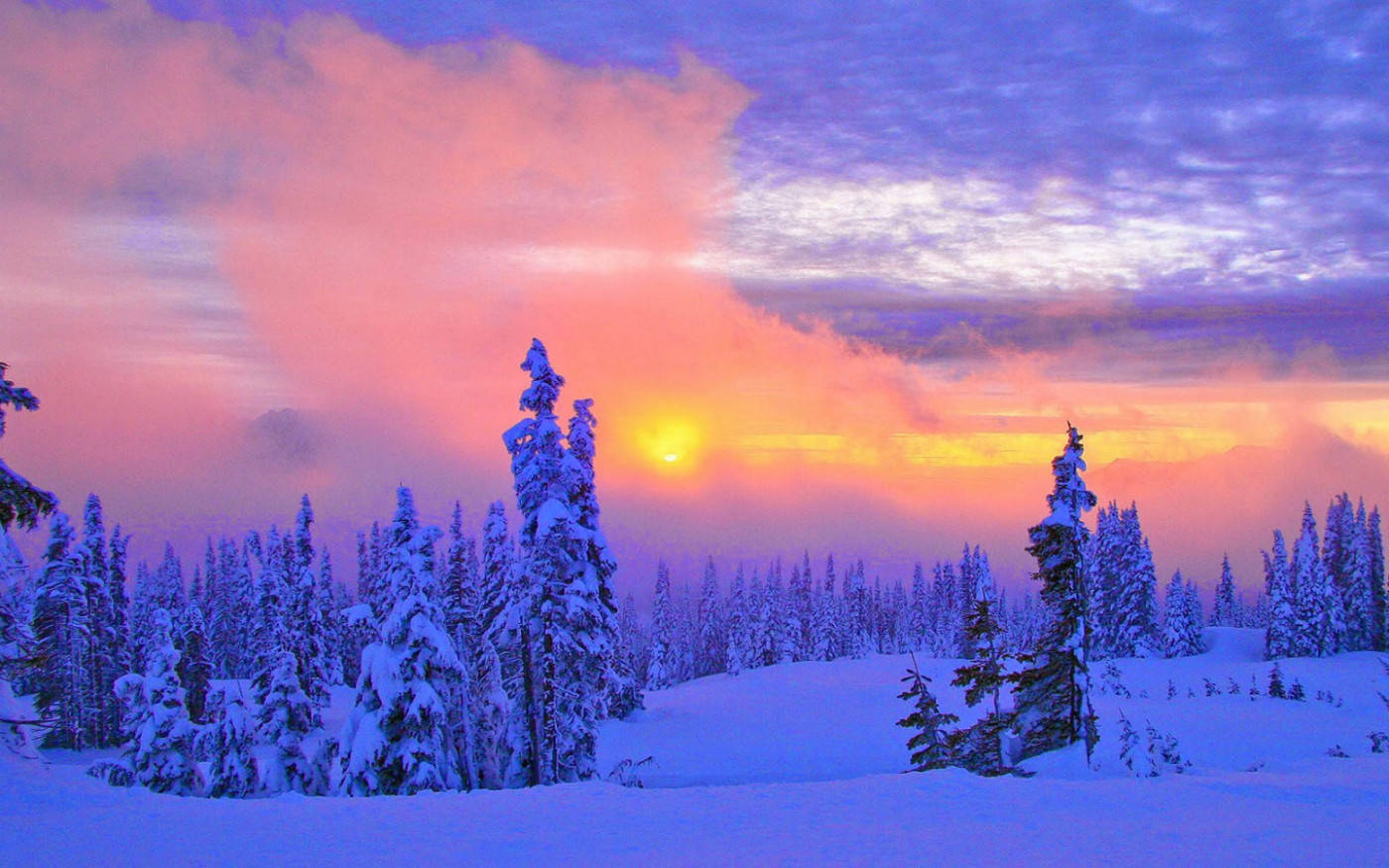 Vinterscene med intens solnedgang Bakgrunner
