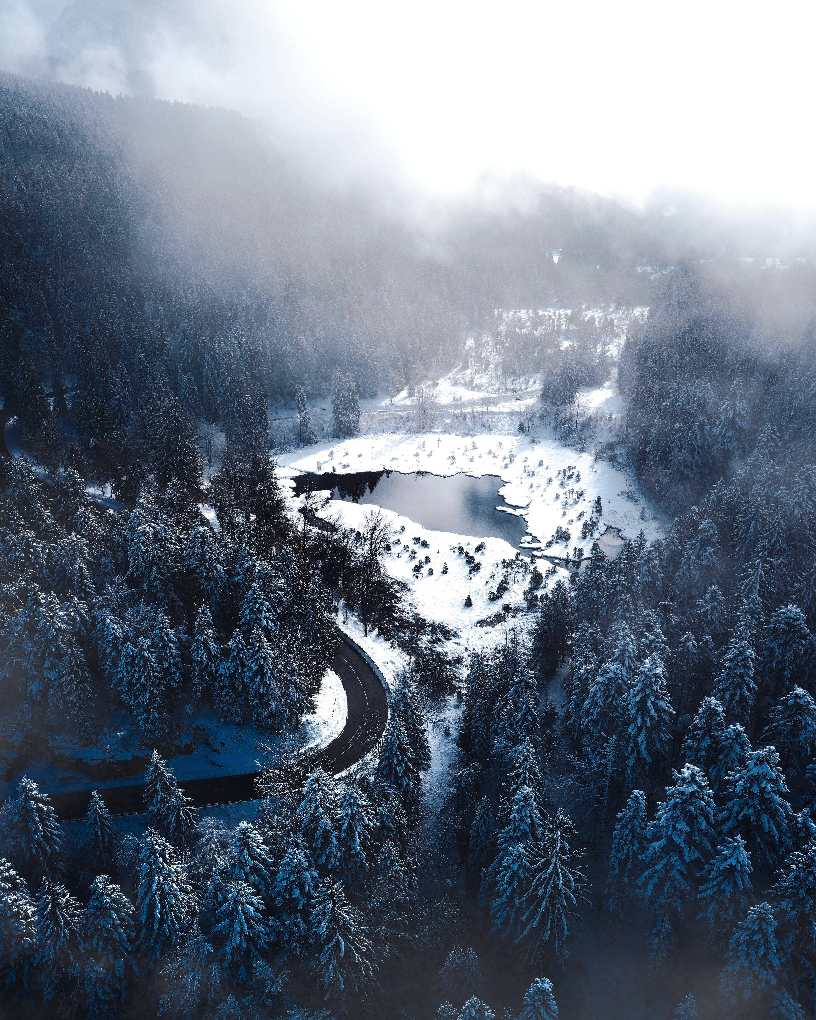 Vinterskog og innsjø Bakgrunner