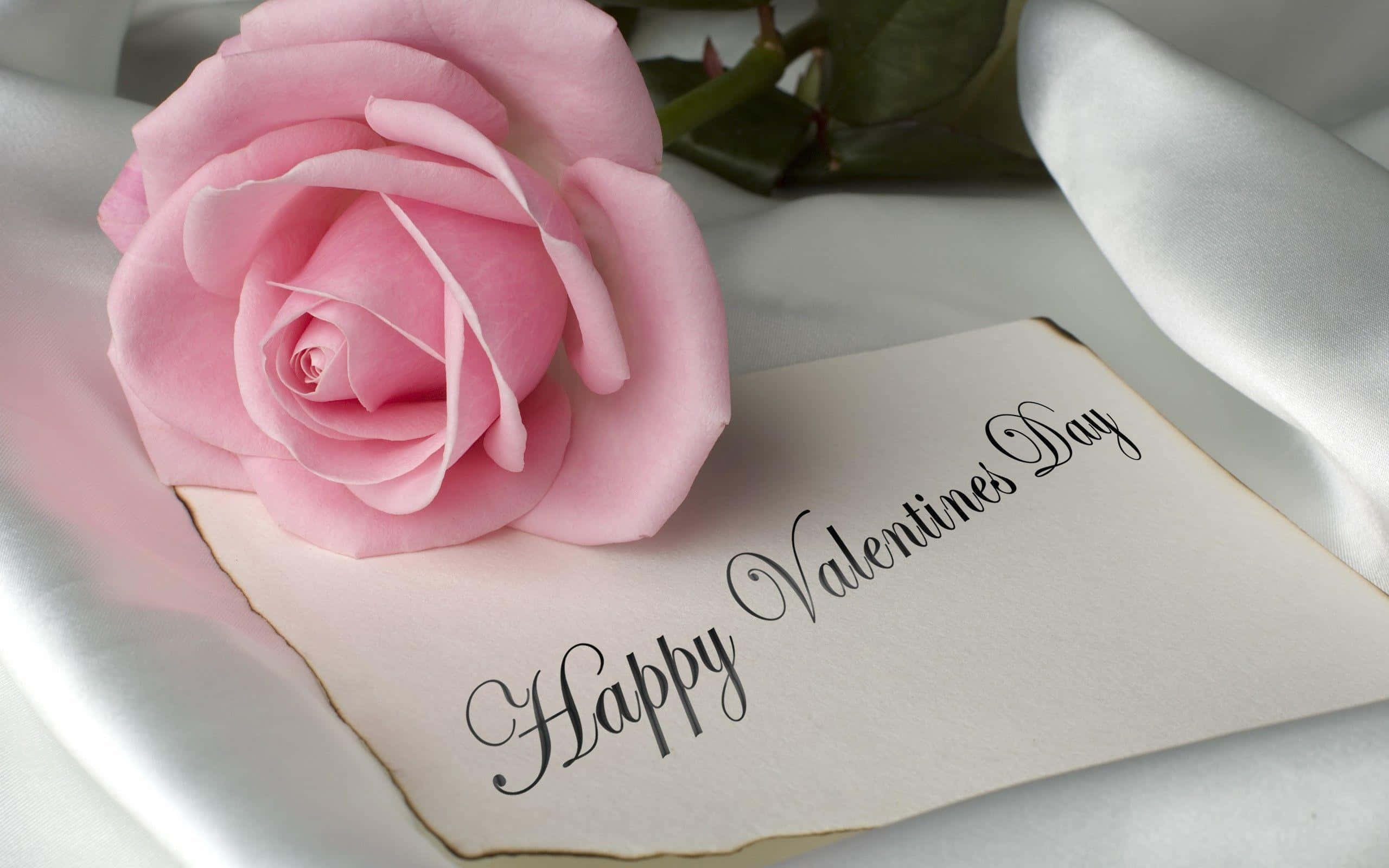 Vis din kjærlighet til din utkårede denne søte Valentinsdagen Bakgrunner