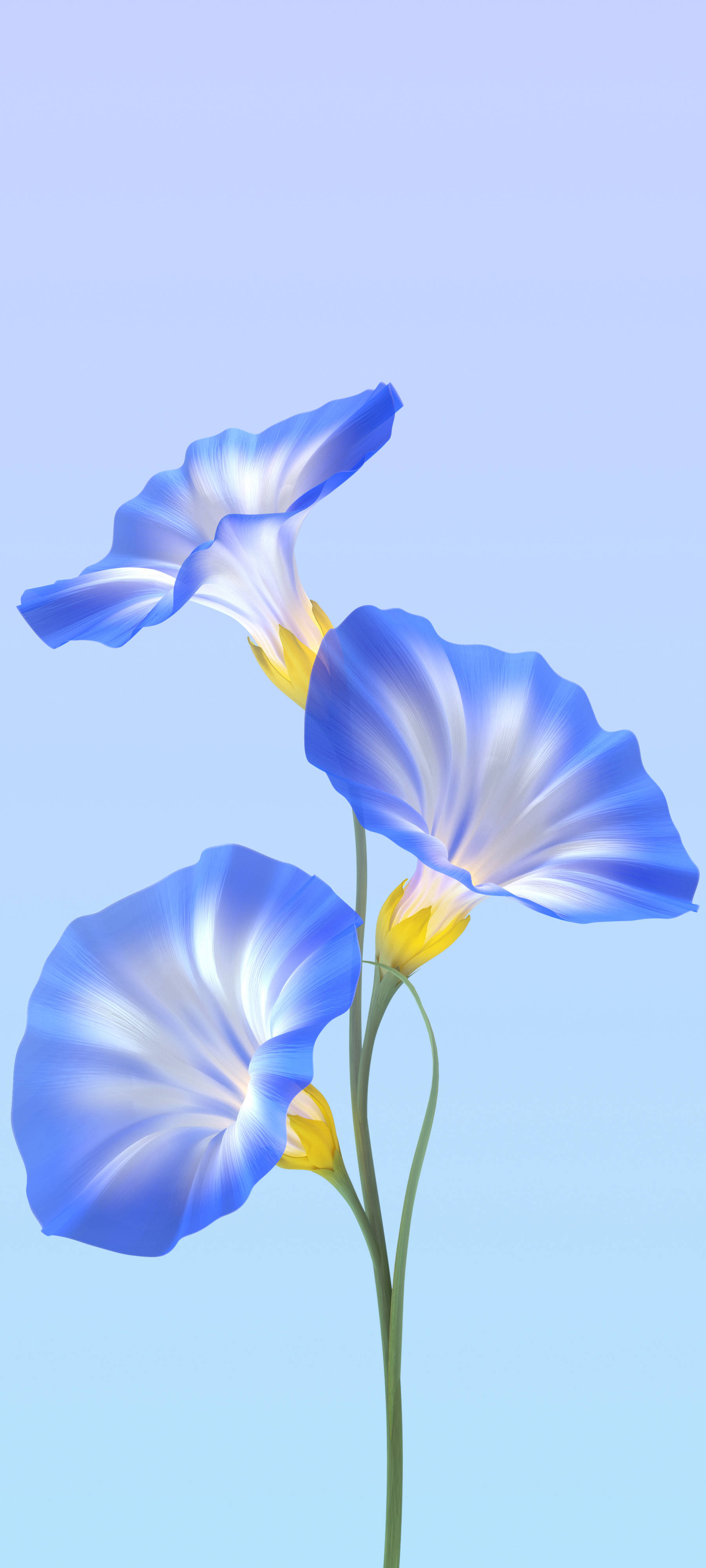 Vivo Y11 Blå blomster Bakgrunner