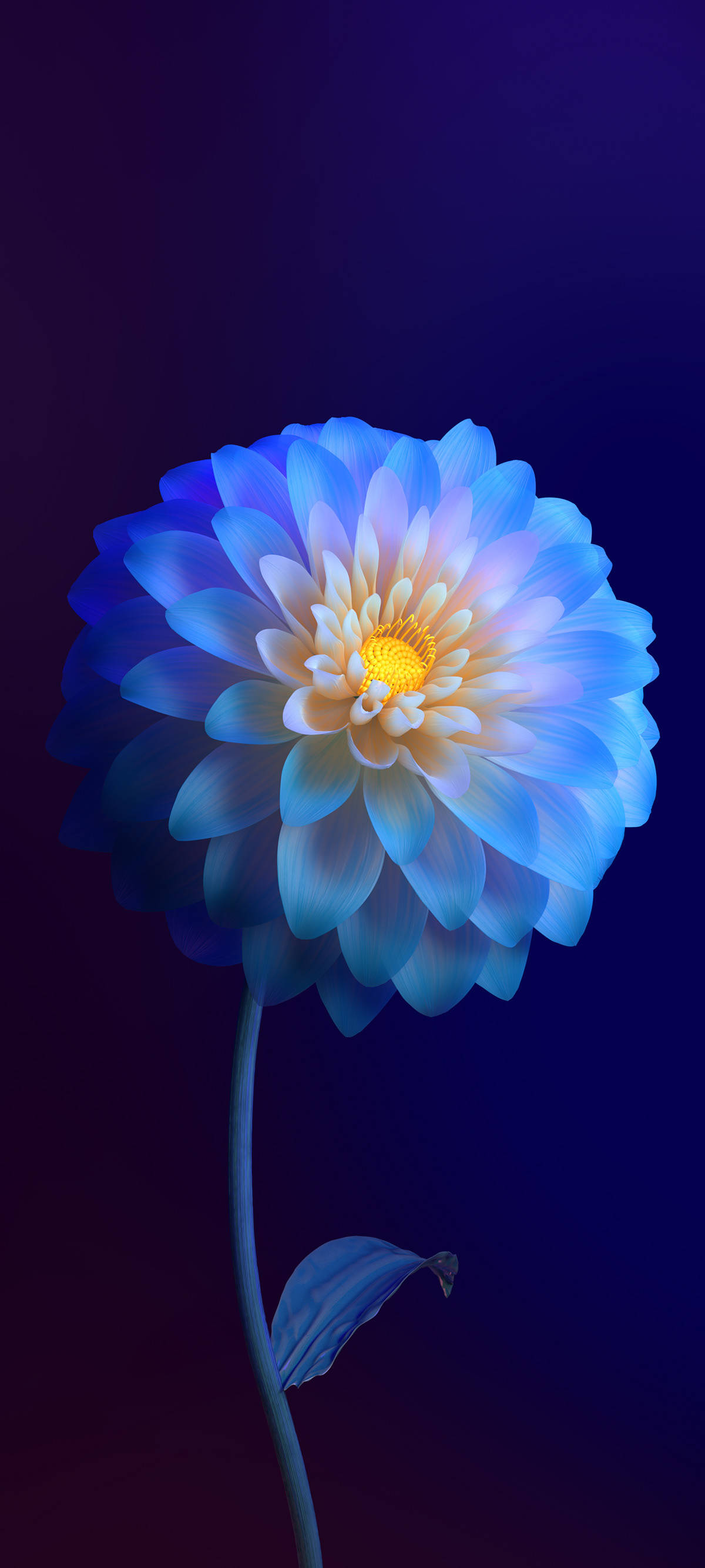 Vivo Y11 Gradientblomst Bakgrunner