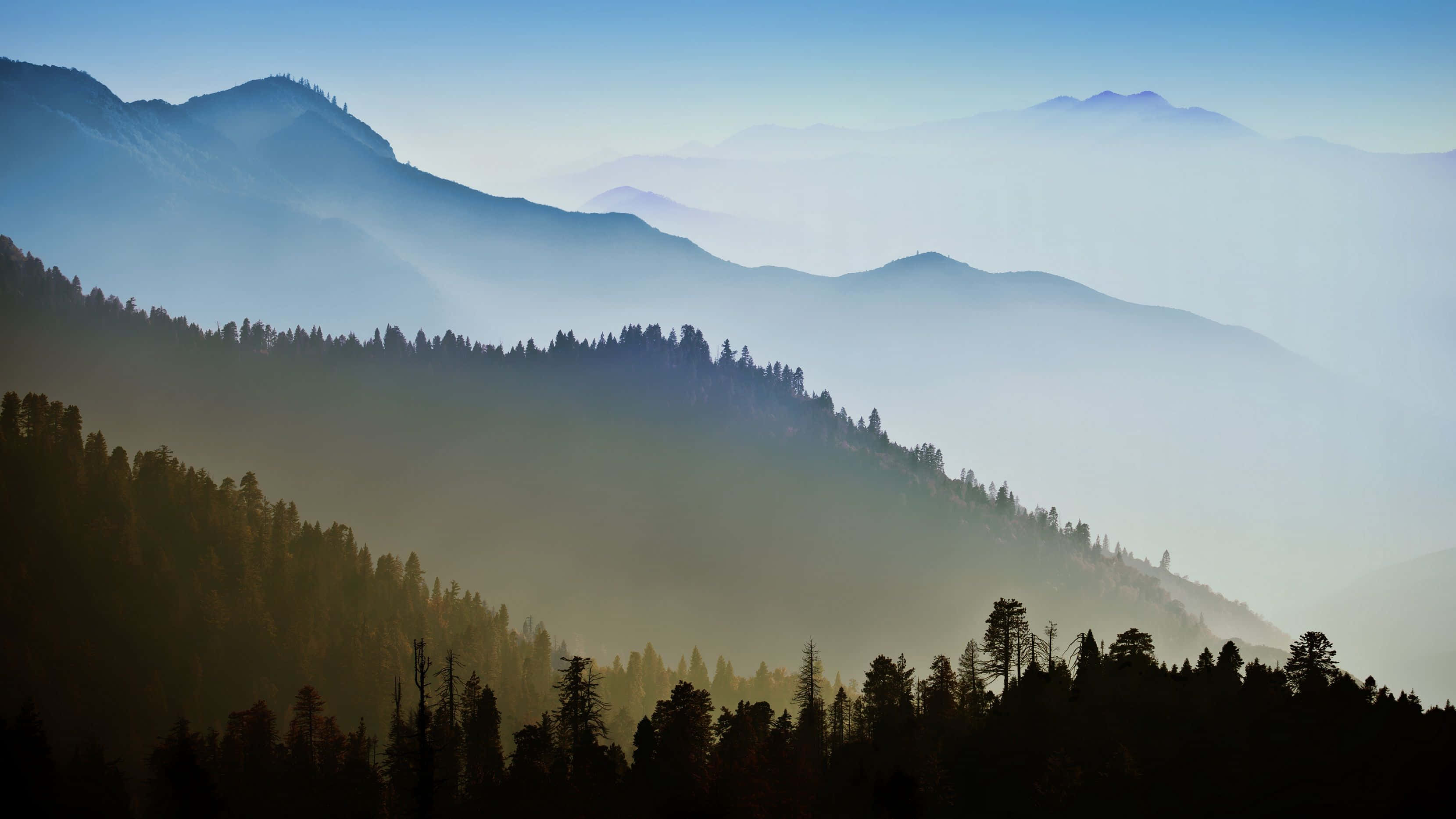 Woods Mountains California MacBook Standard Bakgrunner