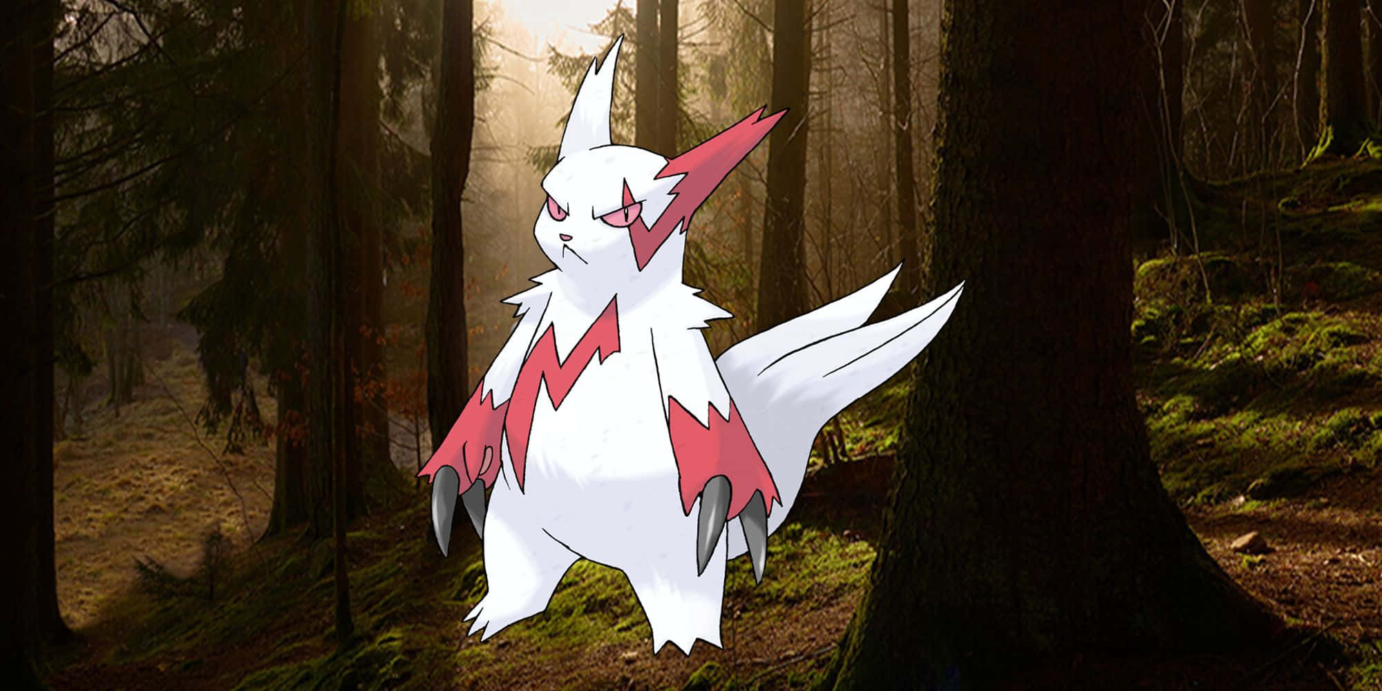 Zangoose i den mørke skogen Bakgrunner