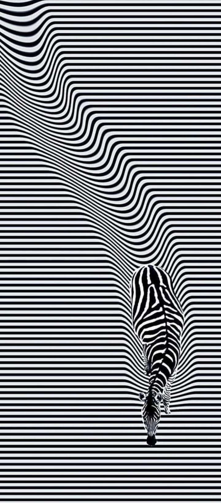 Zebra optisk illusjon bilde Bakgrunner