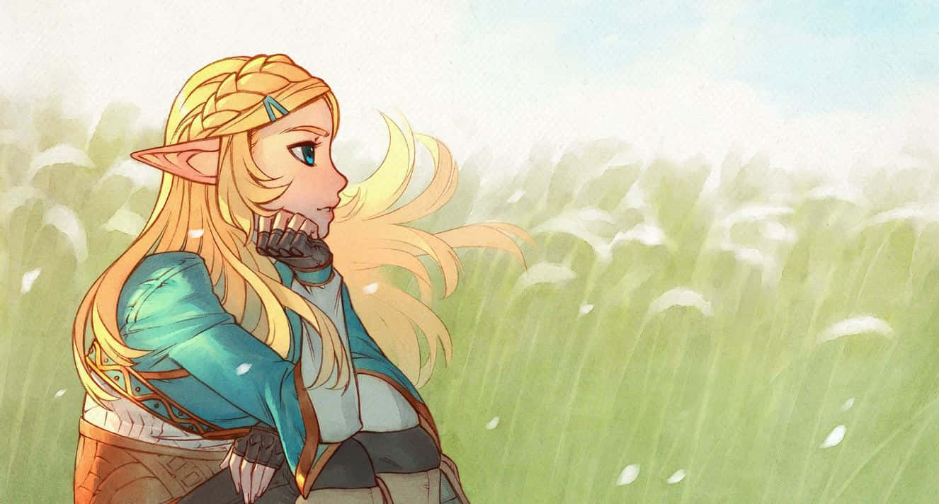 Zelda bakgrunn Bakgrunner