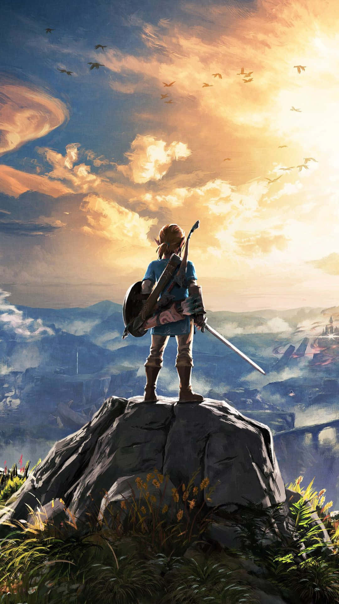 Zelda Botw Link stående på en stein Bakgrunner