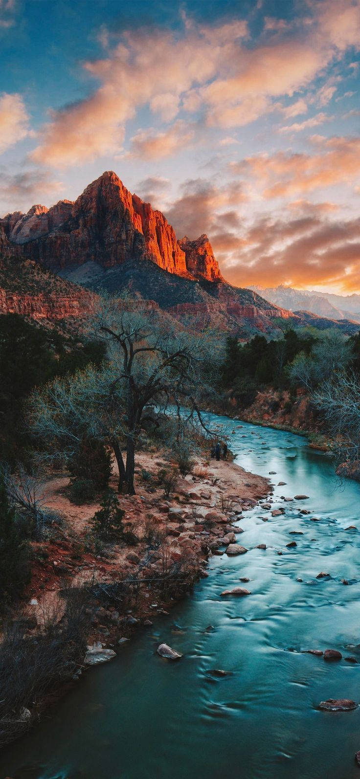Zion Narrows-seksjonen i Zion National Park Bakgrunner