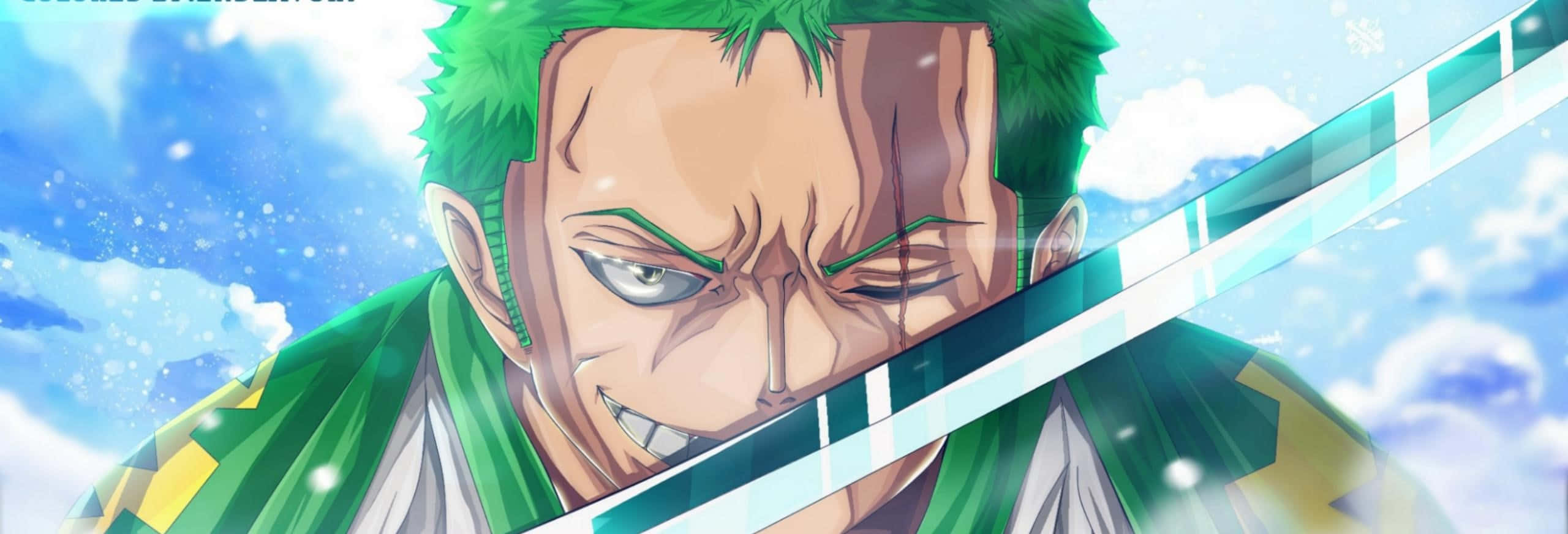 Zoro Wano Skinnende Sverd Bakgrunner