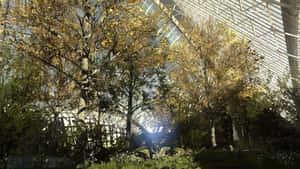 1920x1080 The Talos Principle Bakgrunn — Videospill-GIF Bakgrunner