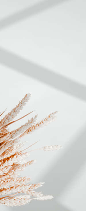 1080x2636 — Xiaomi Mix Flip 2 Bakgrunner