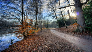 8k 7680x4320 Ultra Hd Oppløsning Skrivebordsbakgrunn Elvesti