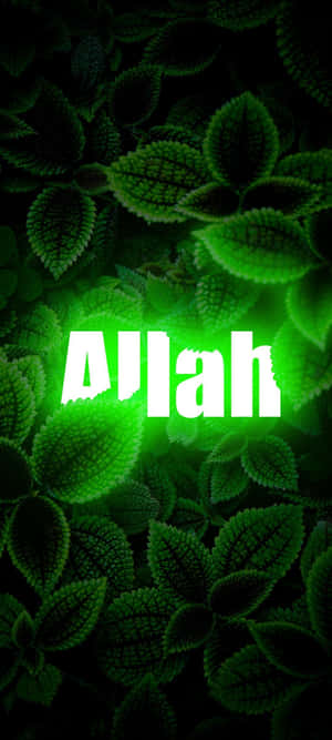 Allah-bakgrunn — IQOO Neo 10 Bakgrunner