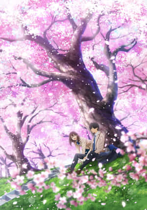 Anime Kirsebærblomst Bakgrunn — iPad Air 11 Bakgrunner
