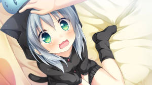 Animejente hettegenser Neko bakgrunnsbilde — Søt anime profilbilde Bakgrunner