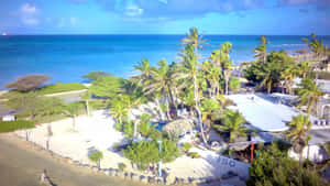 Aruba Strand Bilder — Havbølger Bakgrunner
