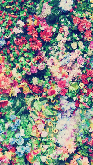 Assorterte fargerike blomster Floral iPhone