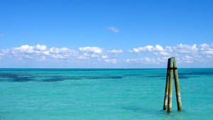 Bahamas havutsikt bakgrunnsbilde — Havutsikt Bakgrunner