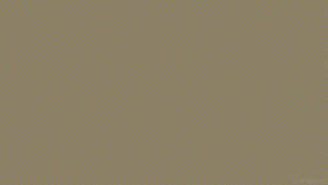 Beige Brun Estetisk Kunst bakgrunnsbilde — Lysebrun estetikk Bakgrunner