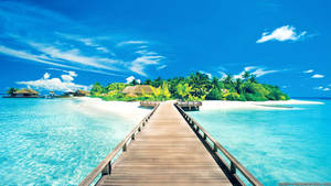 Beste sommer