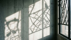 Abstrakte skyggemønstre på en hvit betongvegg, kunstnerisk og moderne. — Hvit estetikk Bakgrunner