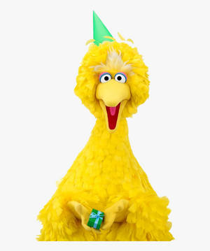 Big Bird Gratulerer med dagen tapet — Motorola Razr Ultra 2025 Bakgrunner